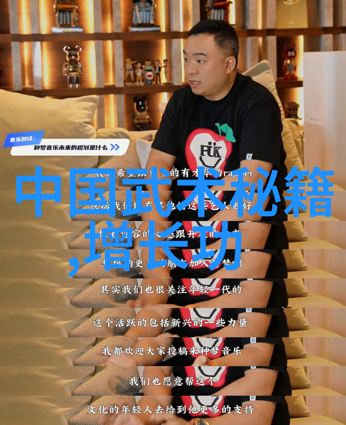 形意拳最怕哪种拳对抗技巧与防御战略