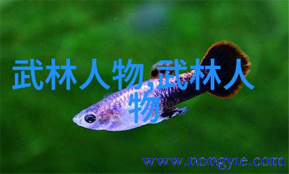 霸气帮派的荣耀街头霸王之巔