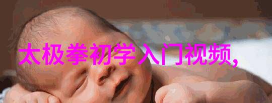 精华汇聚剖析中国武术30大门派的核心训练方法
