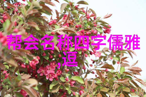 安徽武林秘密汇极拳揭开门派拳种的神秘面纱