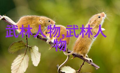 老武术书籍中的秘笈揭秘不再为太极拳所束缚