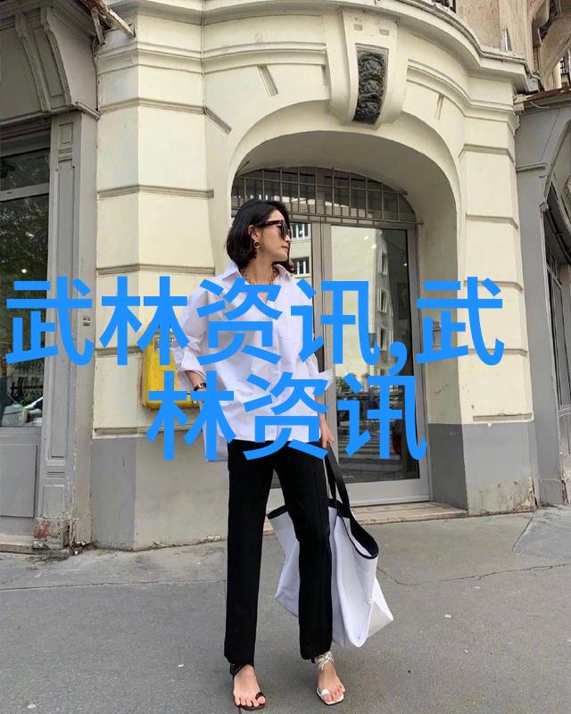 中国功夫秘籍大全解锁武林绝学的神秘之门