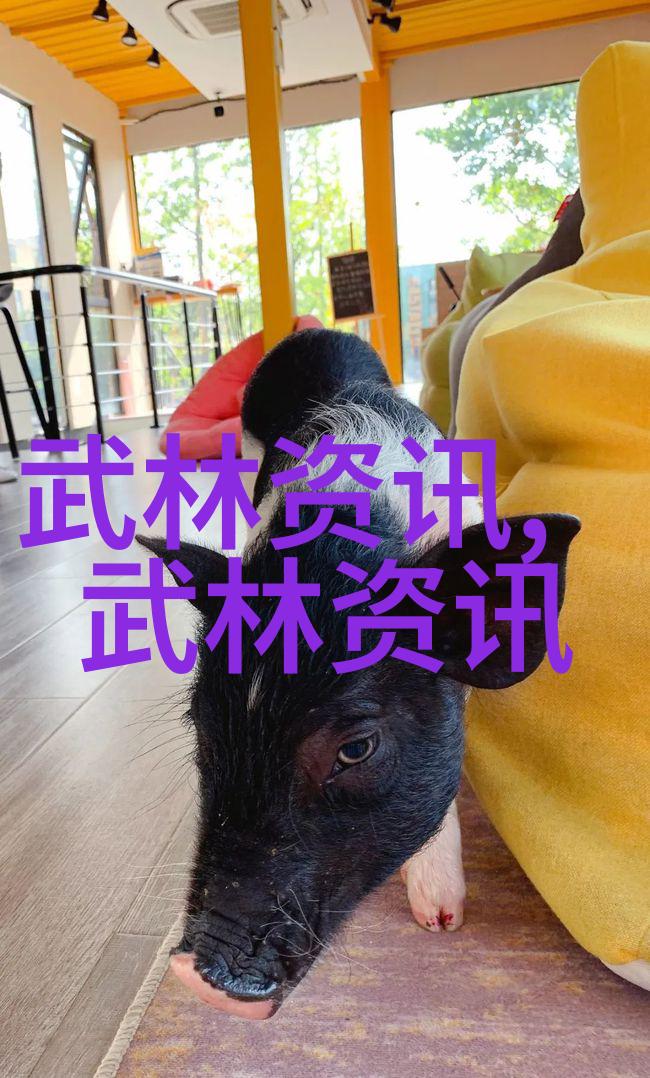 中国武术的巅峰古龙神功与华山论剑
