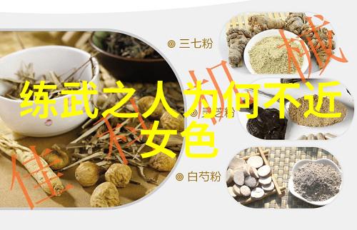 射雕英雄传续集-神雕侠侣倚天之巅的新篇章
