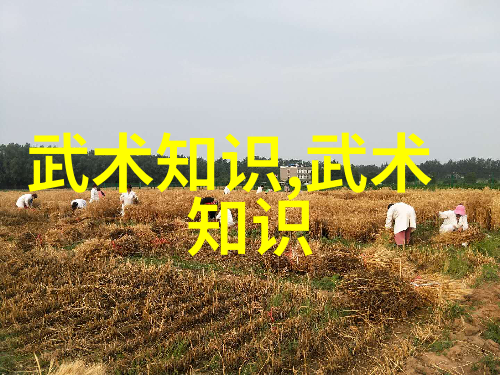 数据驱动探究太极拳与武功武术的差异-雷生霖