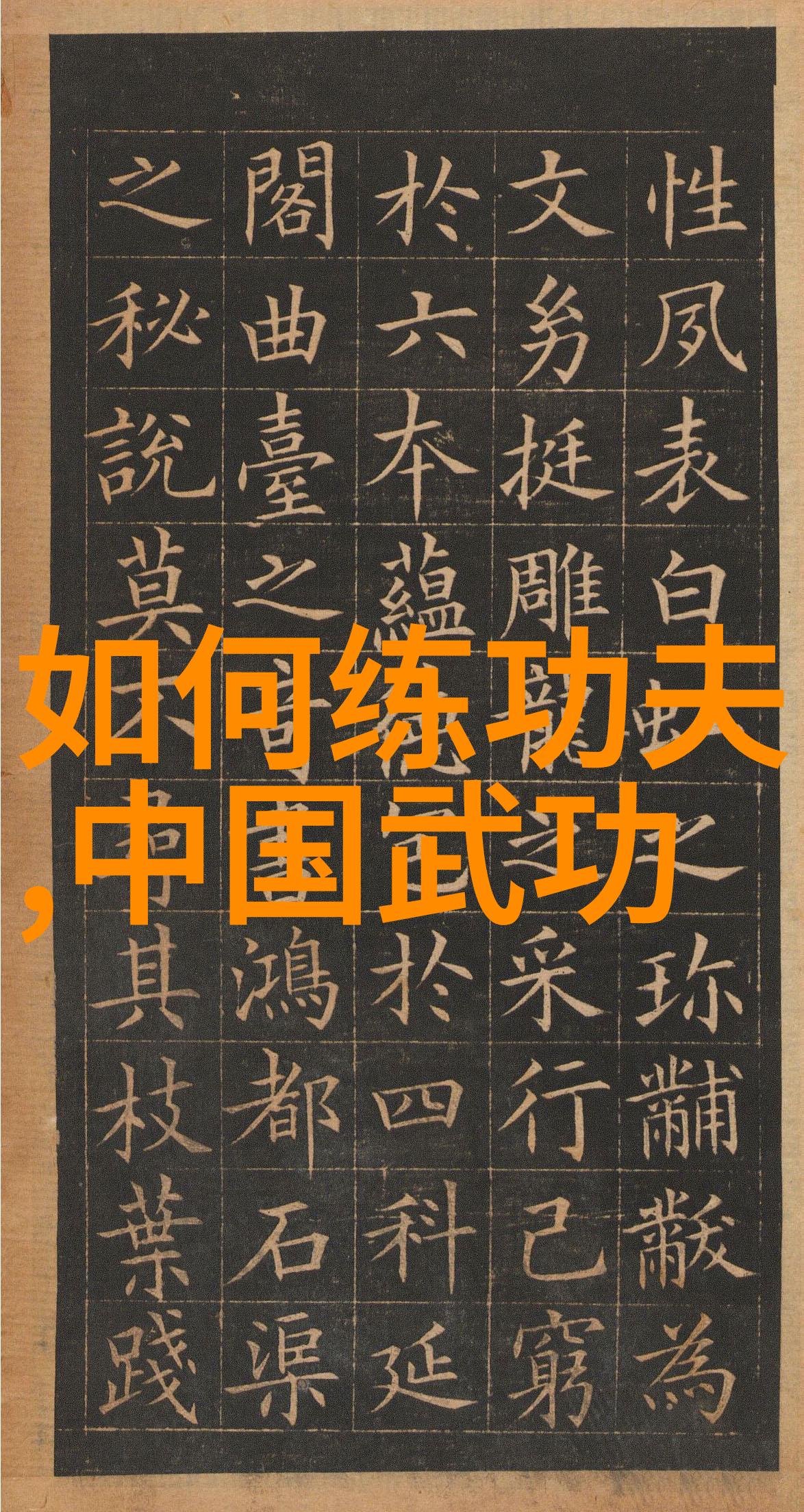 武术入门基础功法与身体准备