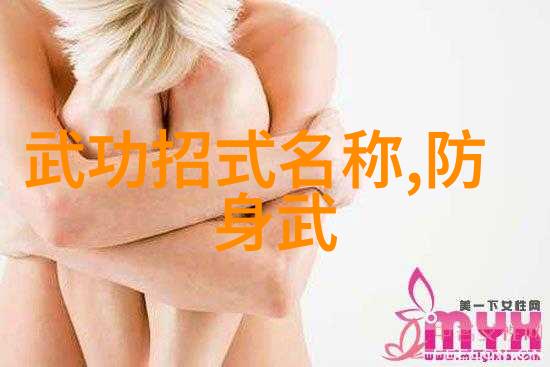 太极拳的套路与拳架解析赵艳教授指南