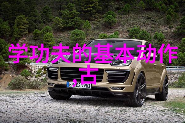 菜花黄桂鱼乐擒忙钓鲢鳙执着追寻自然之美