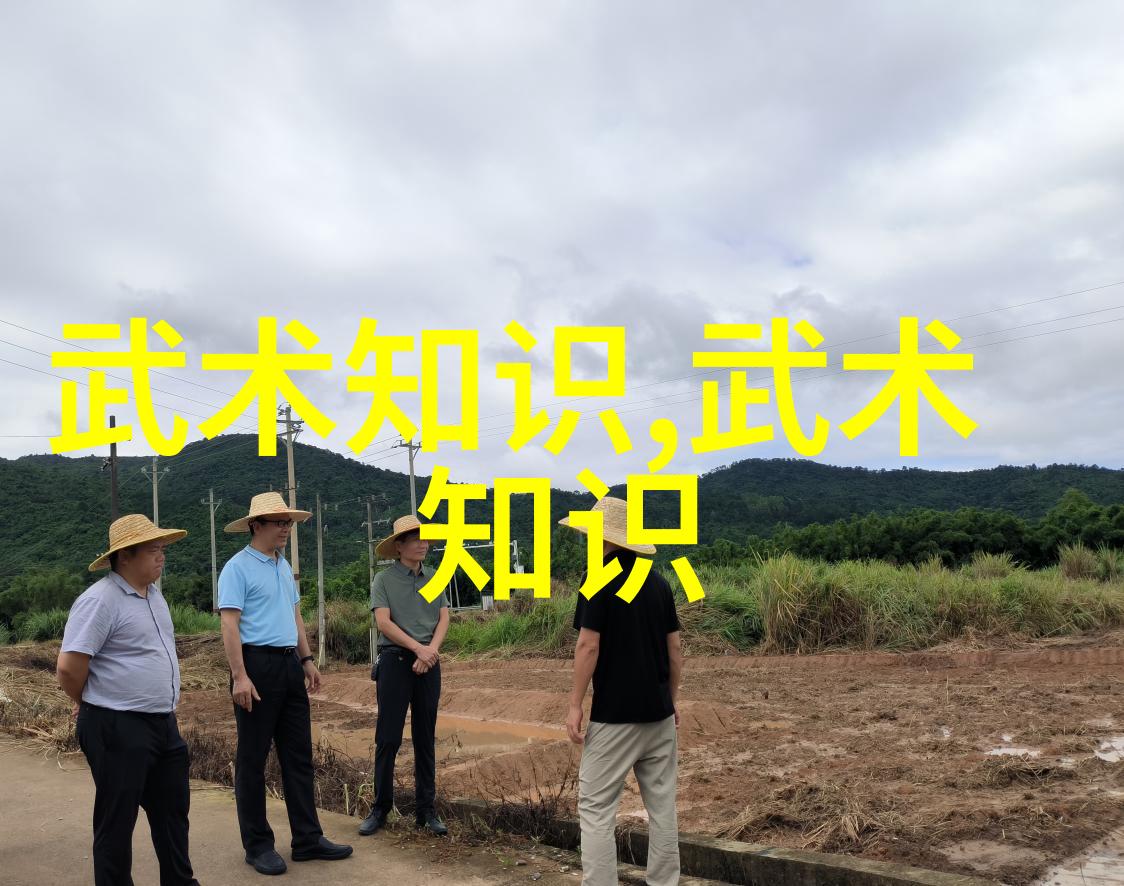 为何要学习太极24式的分解教程