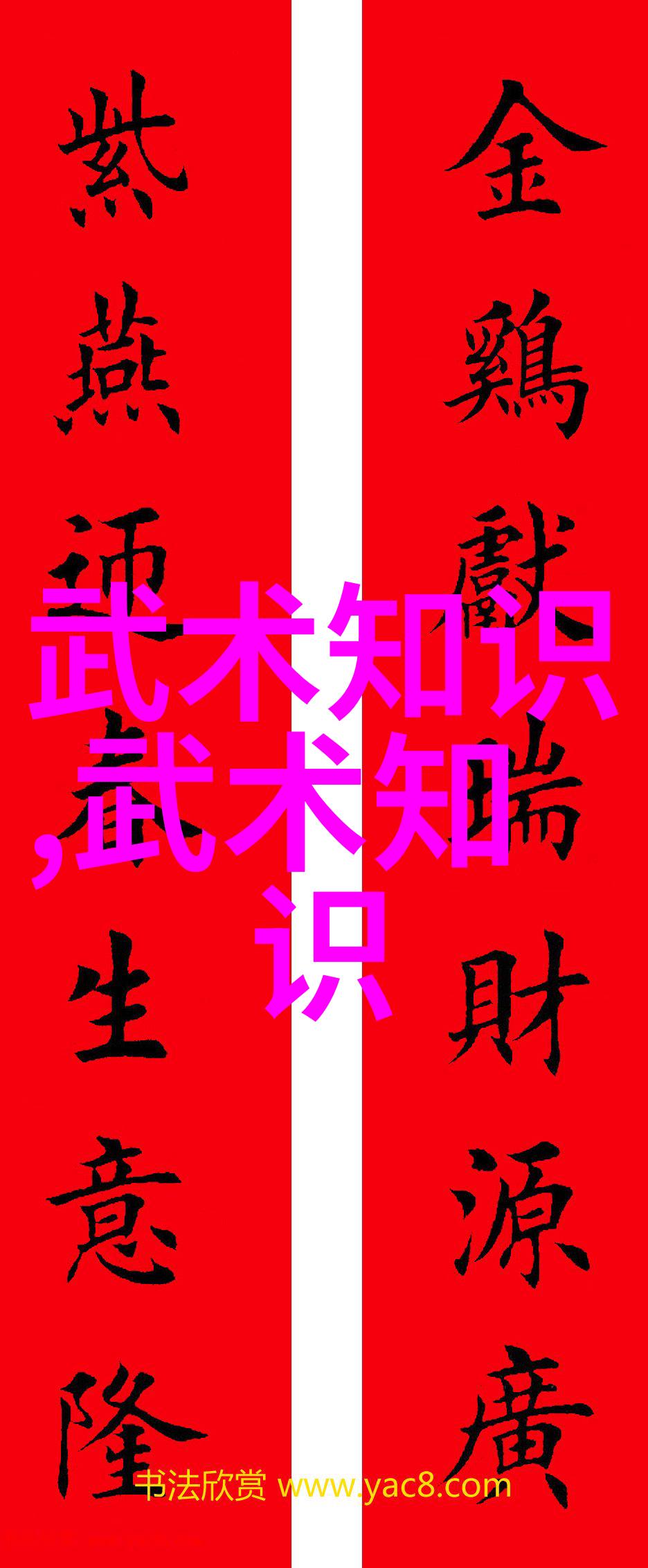 掌中天地武术刚开始的秘密