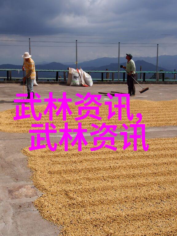 掌握基本功分解每一个打击和转体动作详解