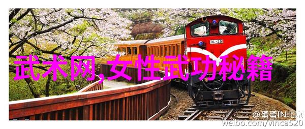 仙门秘谱揭秘印度武术卡拉里帕亚特