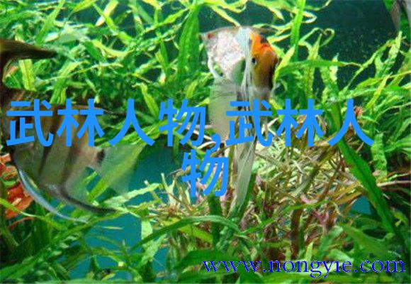 女生寝室5温馨共享空间