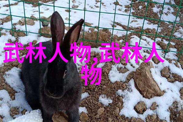 回族昆仑派的剑法如同玄幻中的各种剑法名称大全绘声绘影令人心醉