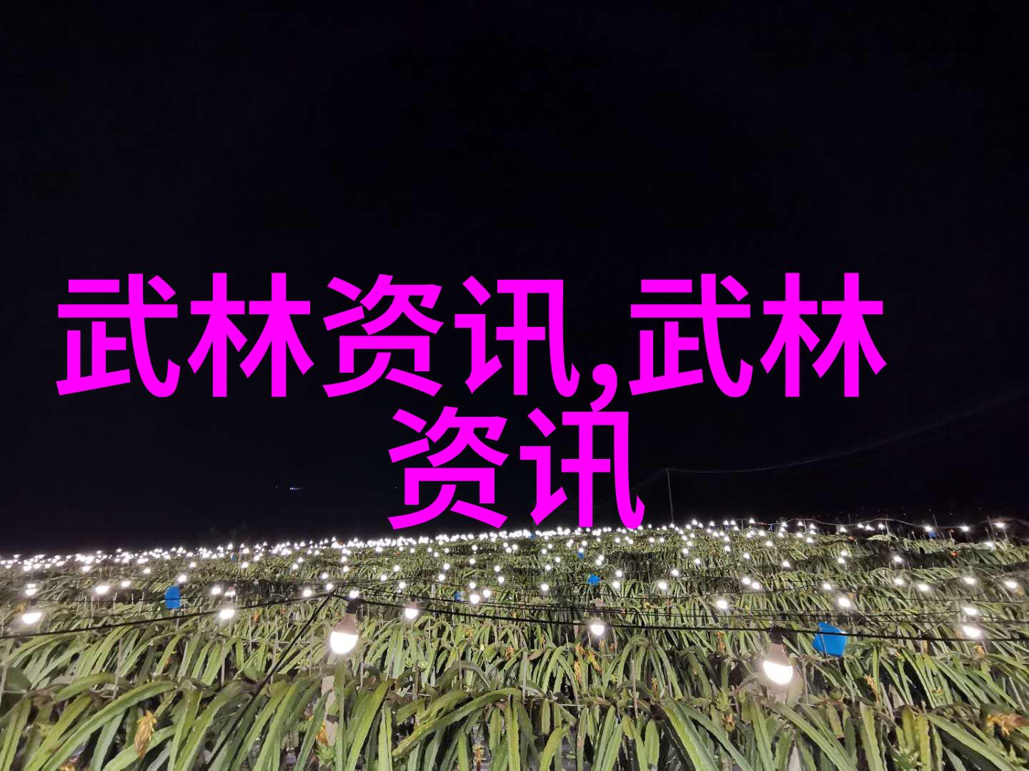 人物在阑尾炎术后如何正确冲调蛋白粉饮食恢复