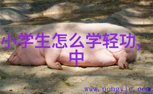 风中奏鸣曲追逐梦想的好听游侠