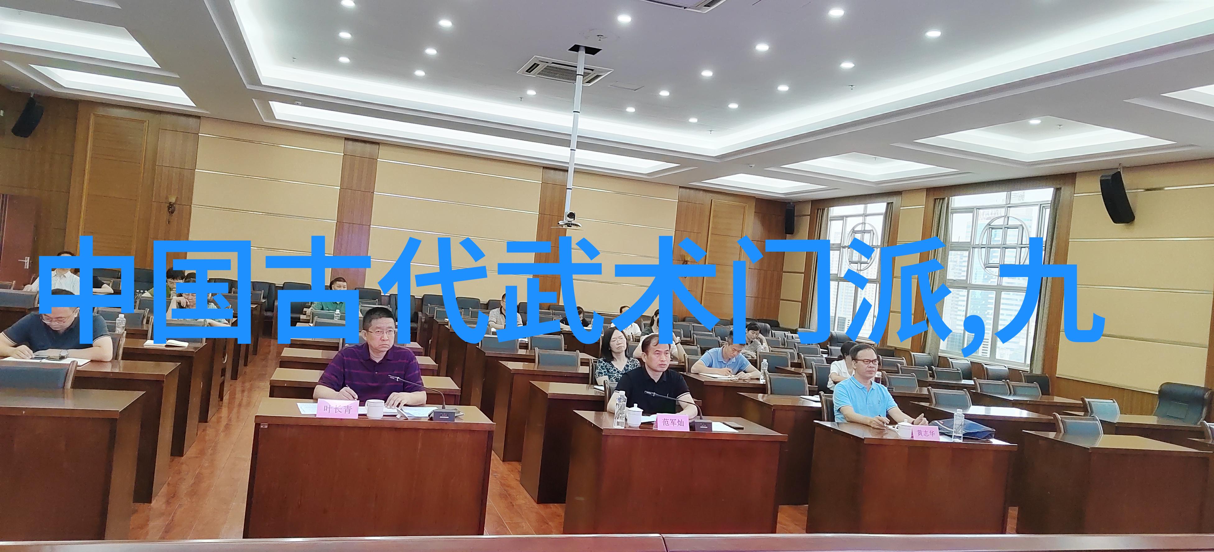 简易24式太极拳轻松学会这套简单的武术秘诀