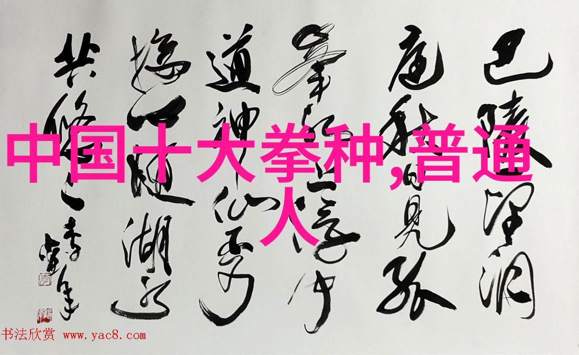 太极拳24式静中生动柔中藏刚