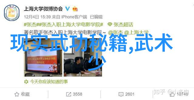 中国十大剑法研究探究武学古籍与实战技巧之间的内在联系
