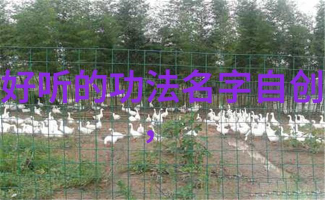 夫妻关系-双心相印如何练就成功的伴侣
