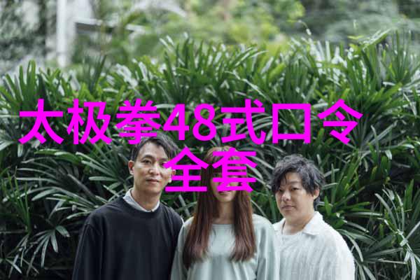 内外兼修如何在不同的环境中提升武艺水平