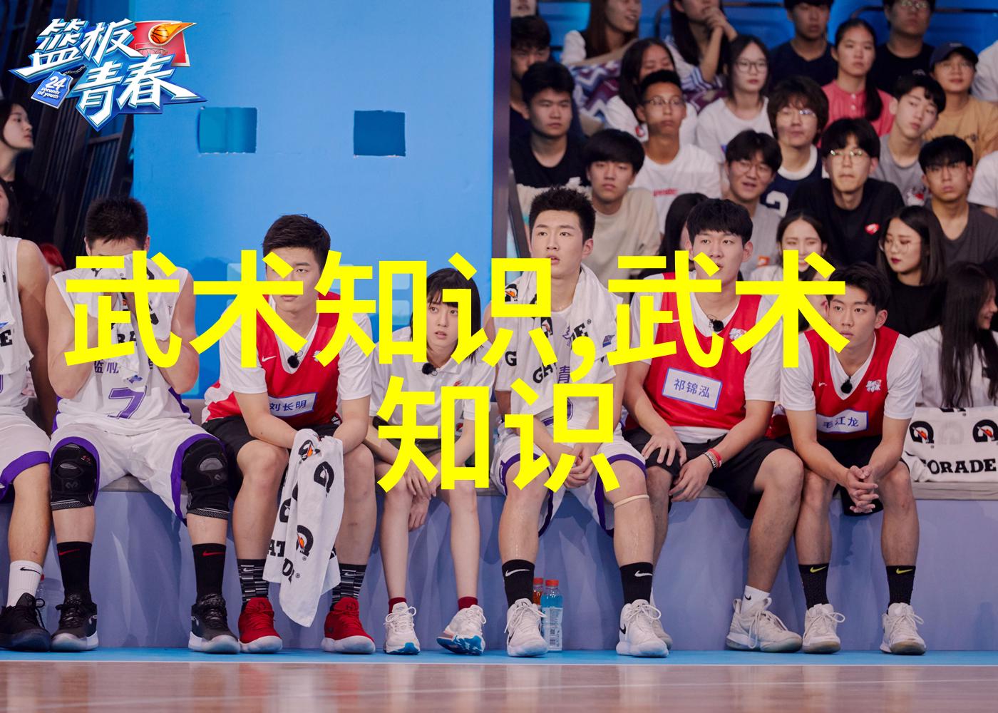 霸道江湖炫彩帮派名录