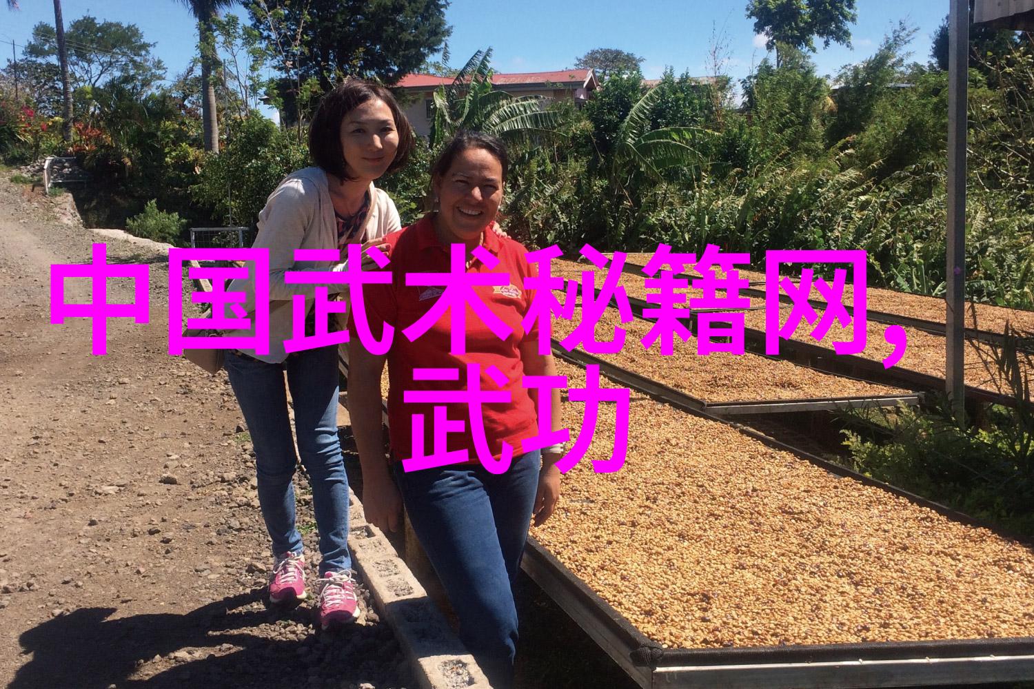 少儿散打武术-小朋友的拳拳俏皮少儿散打武术的魅力与实用性
