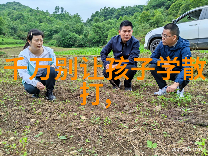 全运跳水篇一黑马刘昕成奥金牌军救赎西安悲剧家属