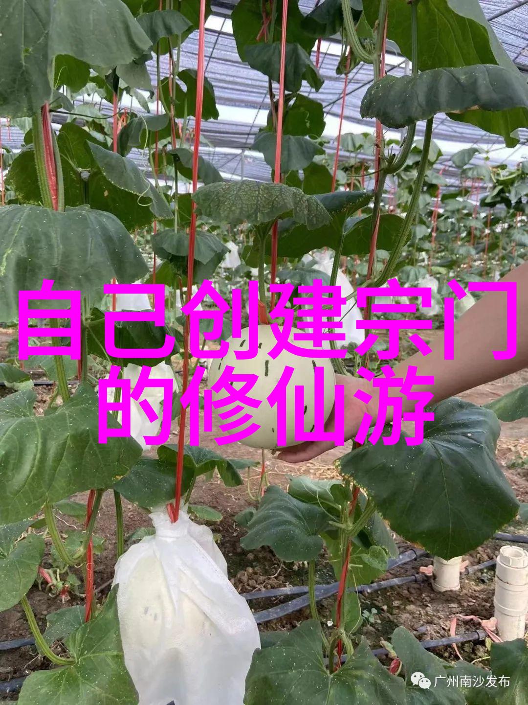 从射雕英雄传到现实贵州武林中隐藏的江湖故事