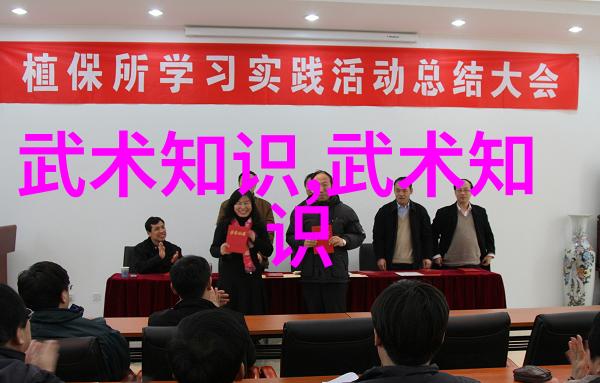 武林门派有掌门吗揭秘太极螳螂拳的神秘力量