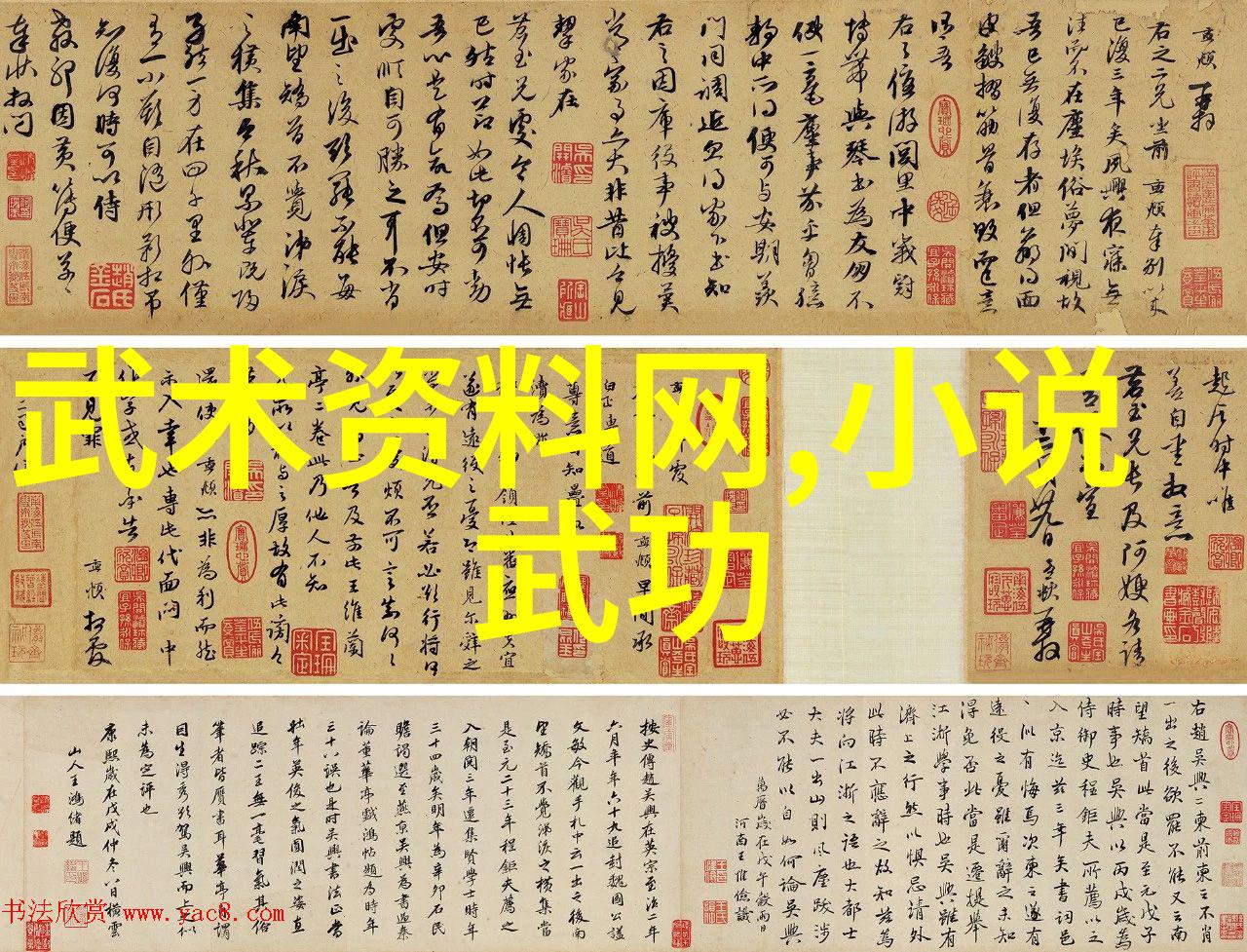 练就一身真气走遍全国寻访最古老的拳种秘籍