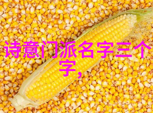 武学自修指南从基础到高级的实用技巧总结