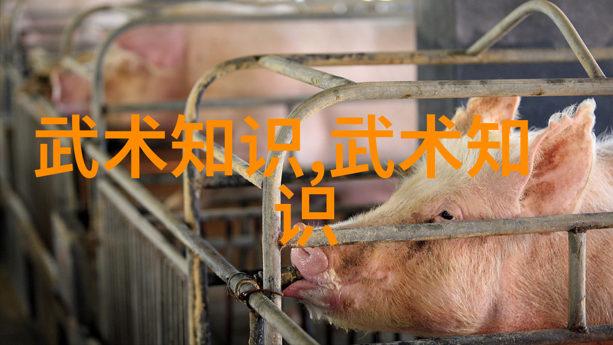 自己在家练武术的教程全能武术训练系统
