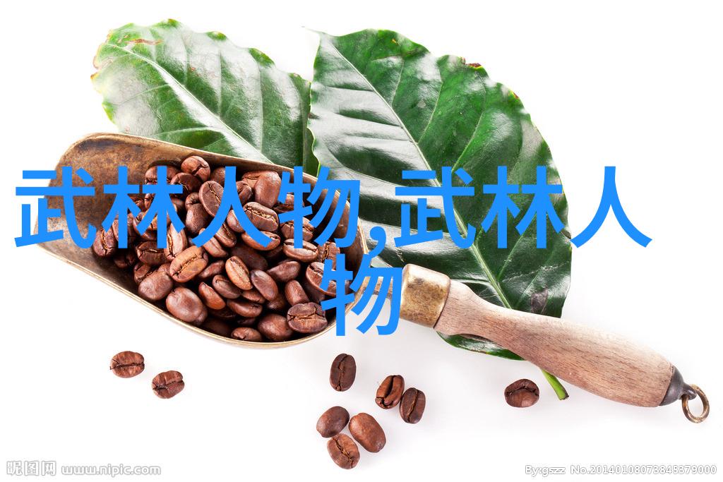 武林秘籍揭秘那些被遗忘的绝学之路
