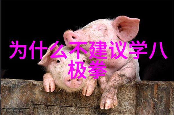 江湖秘笈武功秘籍的神奇力量