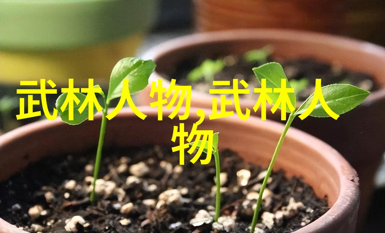 内力培养法则与练习方法