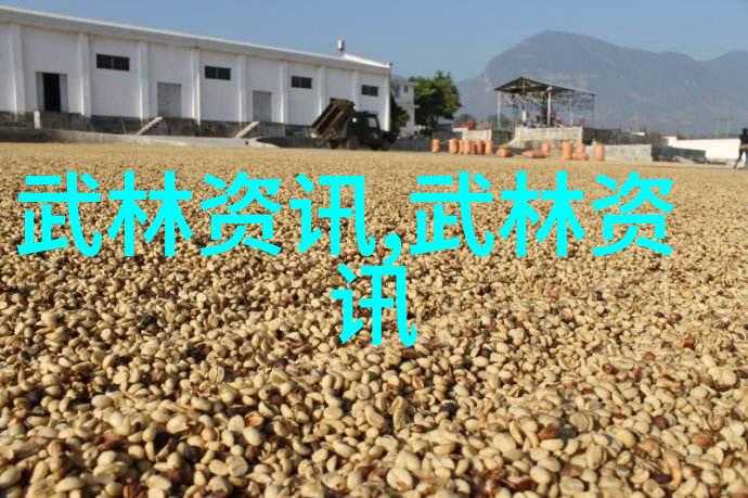 霸道帮派八卦拳在社会的霸气挑战