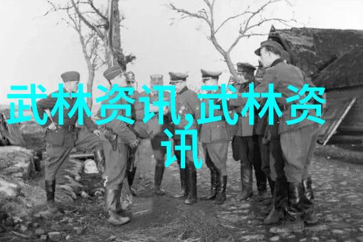 武学源远流长技艺无穷尽介绍一些不为人知但值得关注的小型或地方性特色瑜伽气功拳击等运动