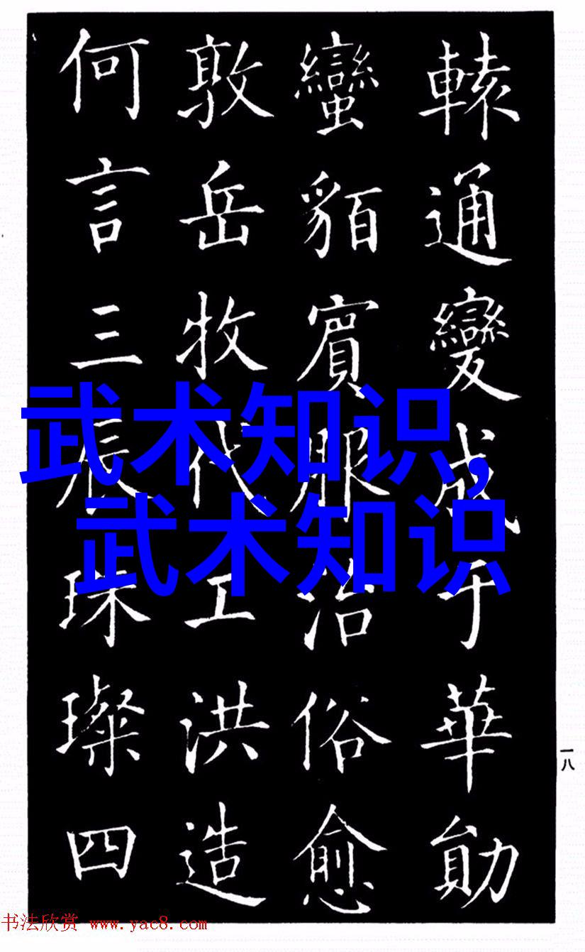 内心修为与外在力量的平衡点分析十门最高层次的练气法术
