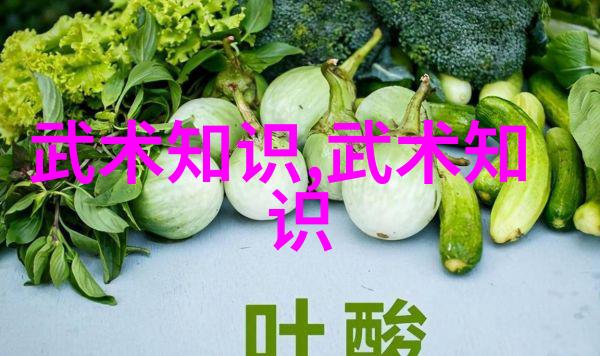 西安饮食中的乳清蛋白营养与美味的双重奏鸣