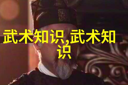 门派拳种现代字门太极拳古韵流变中的精髓探究