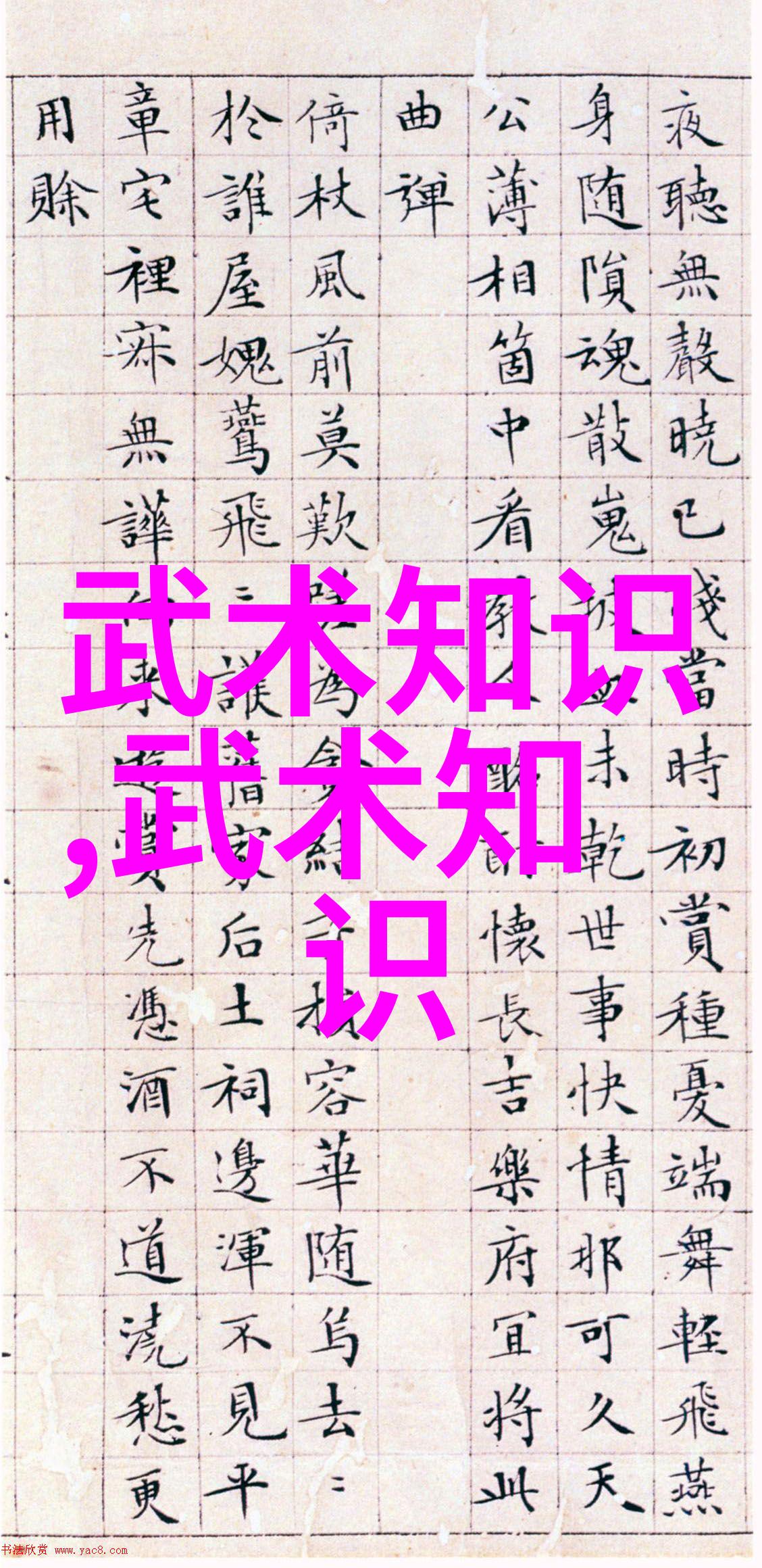 松开的掤劲张志明探讨中国功夫中的拳法在社会中的应用