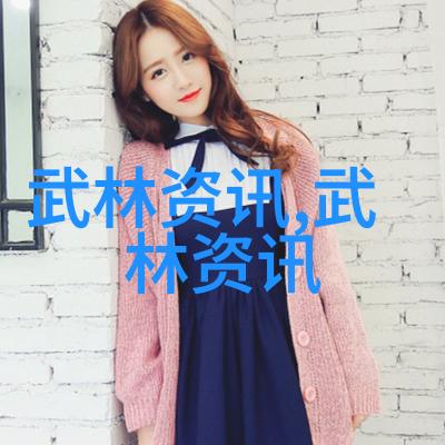 湖南武术门派中的宗岳太极拳在社会中传承与实践
