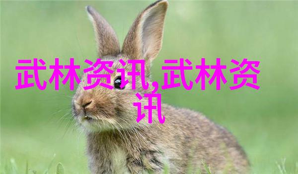 少林武功秘籍大全从醉梦境到实战技巧的转变
