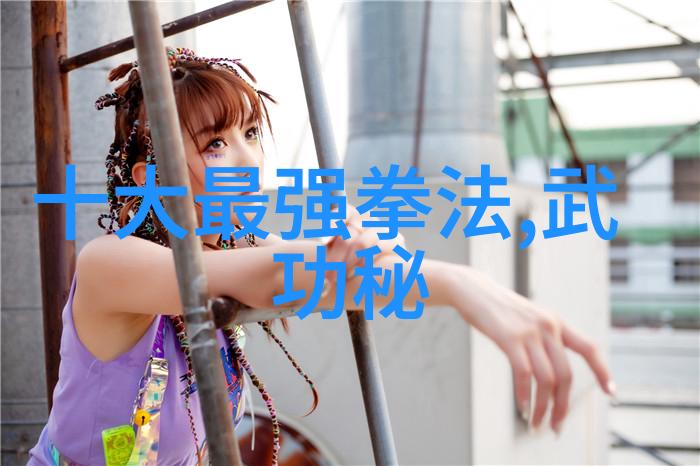 揭秘太极十三桩武功全集的巅峰之选