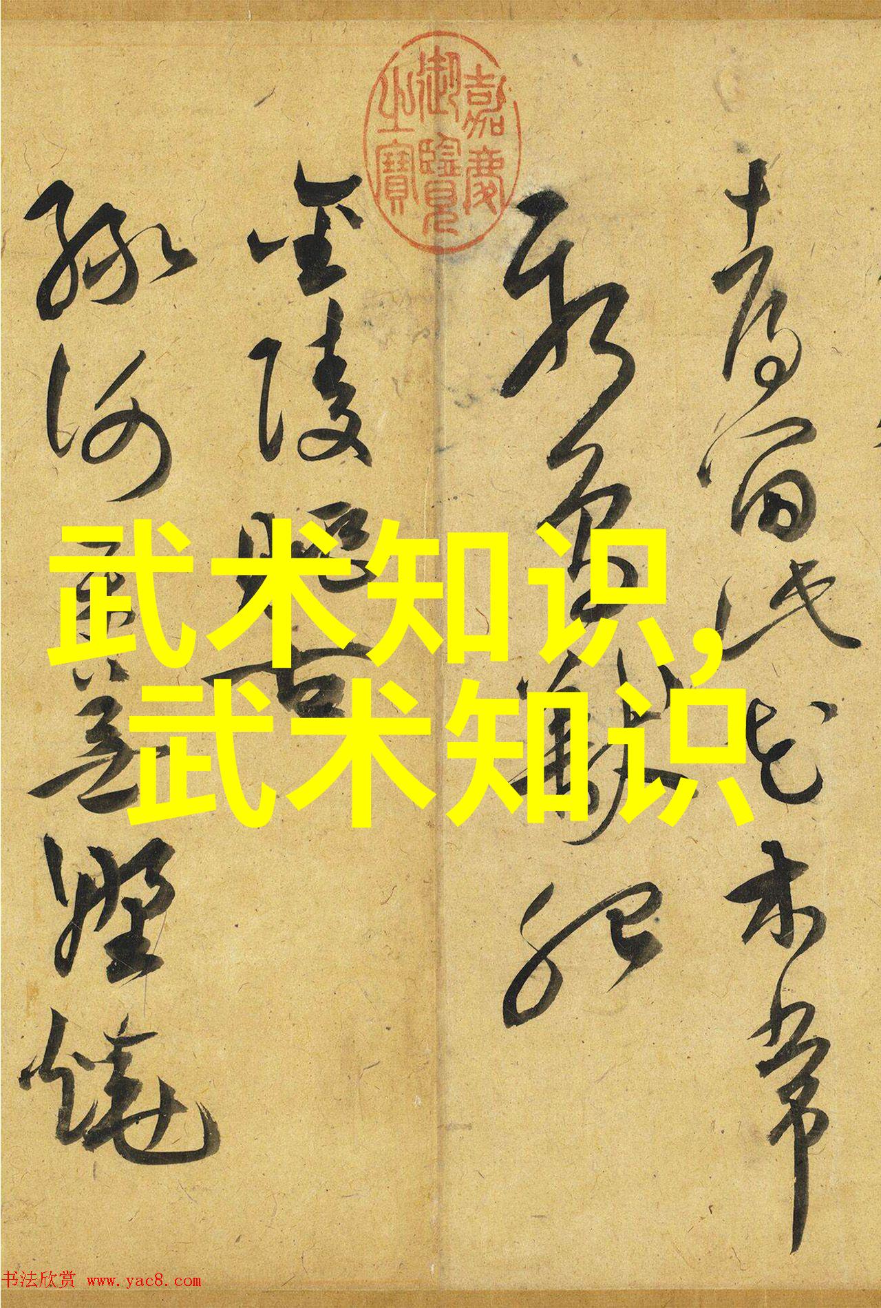 太极拳24式图解古老内功心法全集