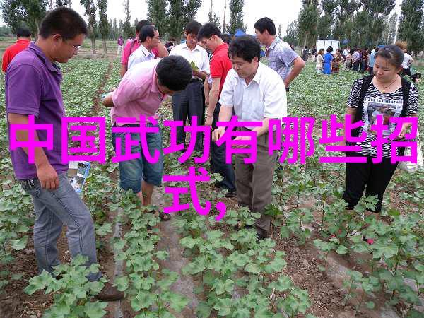 女生的帮派名字编织秘密与魅力