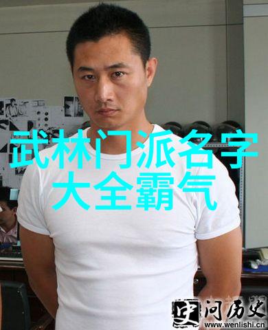 太极拳24式速悟秘诀采挒二劲实战解析