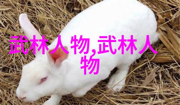 离婚申请小说全文免费阅读我是如何用一封信结束了我们的婚姻