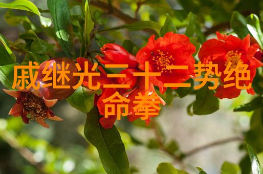形意拳各流派对比形意拳的不同流派和实战能力